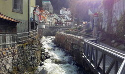 TBerg13.jpg